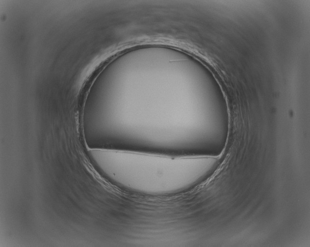 X0000070221503200605261024