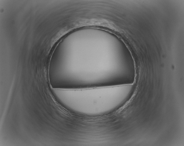 X0000070221505200605261024