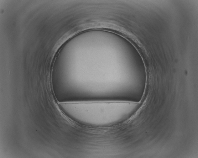 X0000070221513200605261024