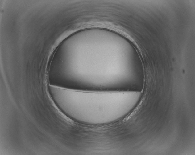 X0000070221525200605261024