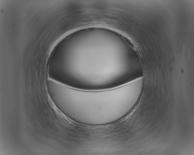 X0000070221534200605261024