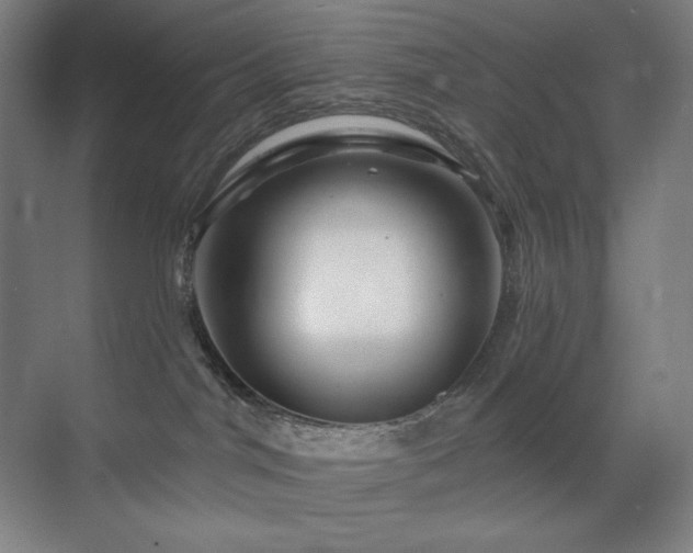 X0000070220044200605261329