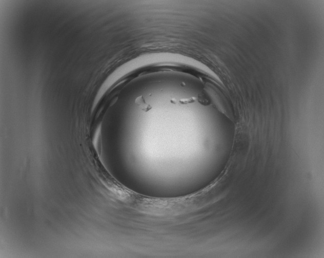 X0000070220045200605261329