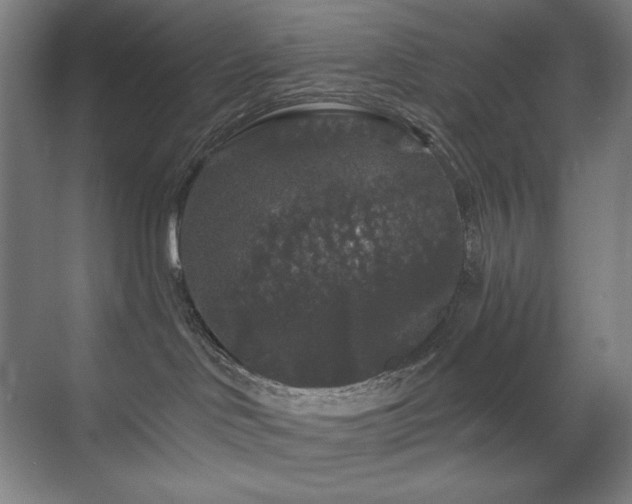 X0000070220046200605261329
