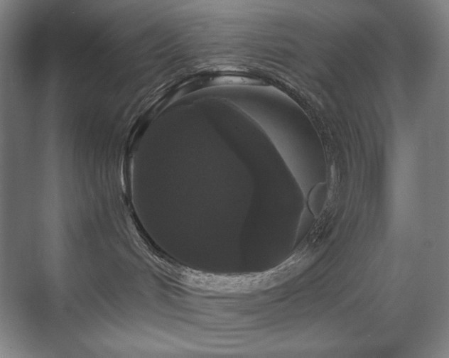 X0000070220048200605261329
