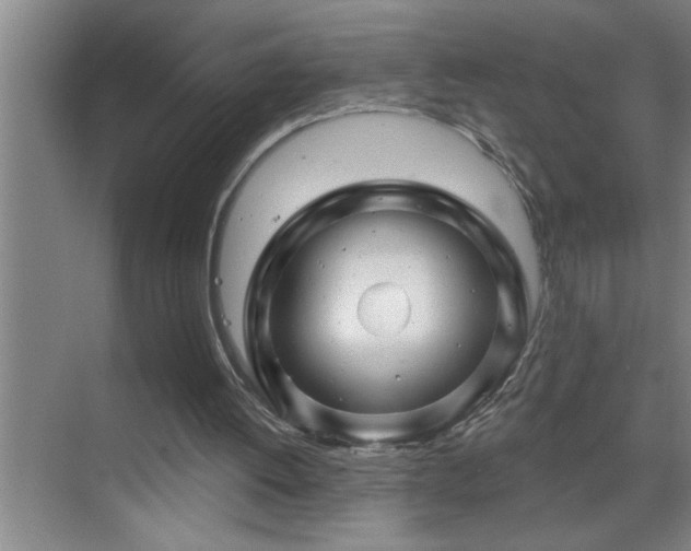 X0000070220052200605261328