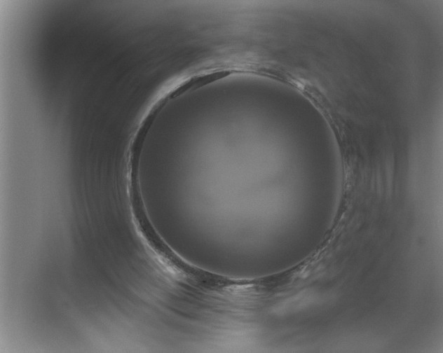 X0000070220054200605261328