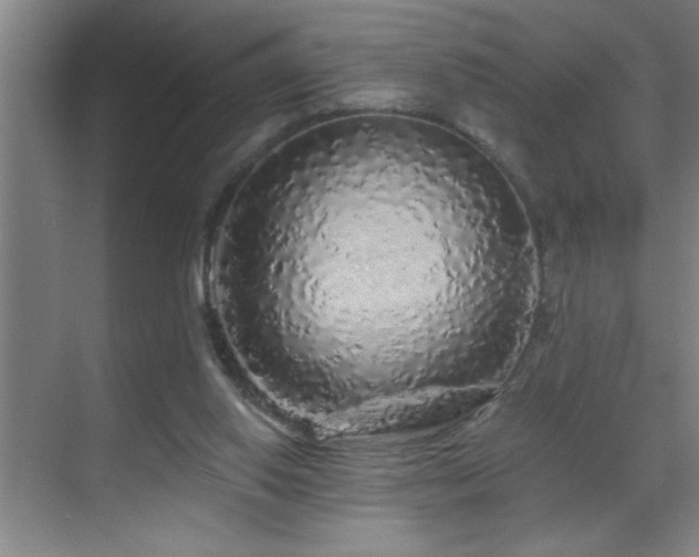 X0000070220062200605261328