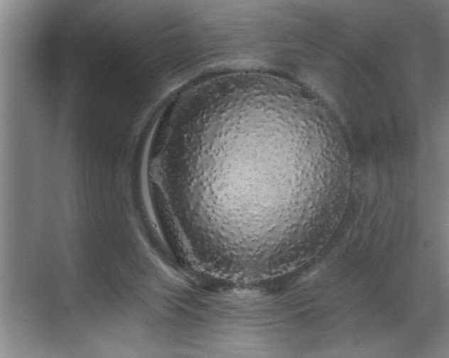 X0000070220063200605261329