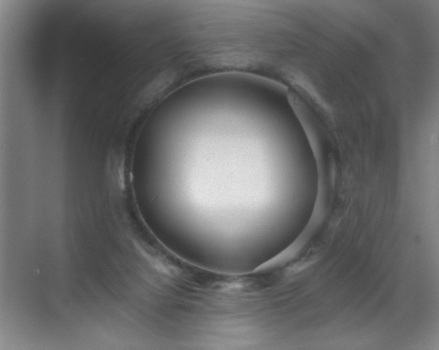 X0000070220068200605261329