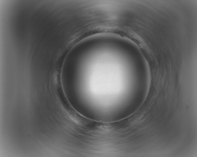 X0000070220071200605261329