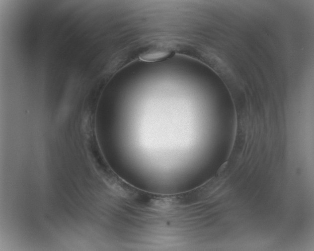 X0000070220079200605261329