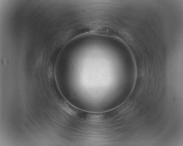 X0000070220081200605261329