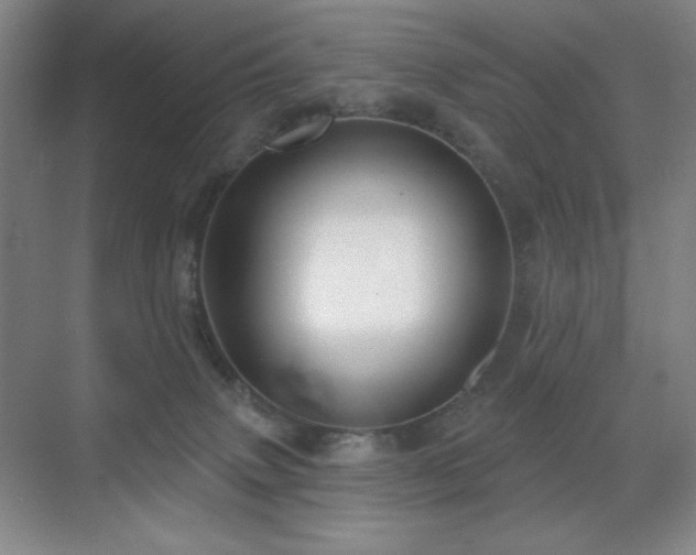 X0000070220083200605261329