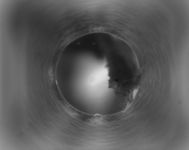 X0000070220086200605261329