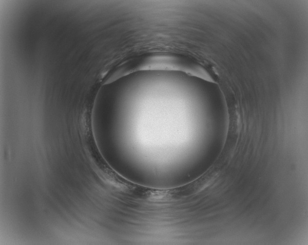 X0000070220088200605261329