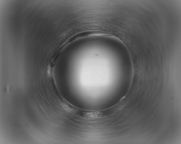 X0000070220089200605261329