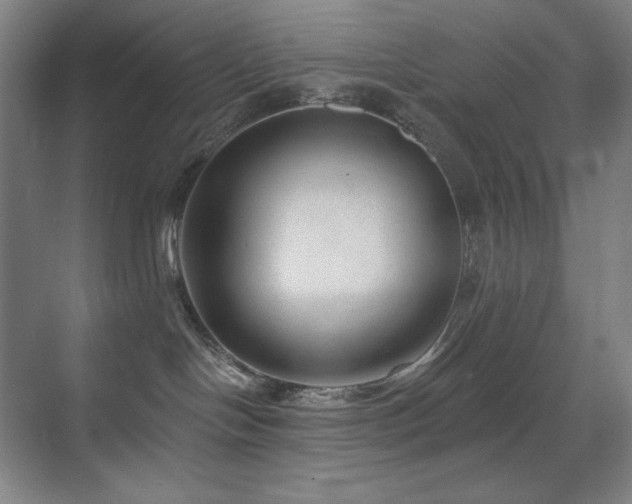 X0000070220094200605261329
