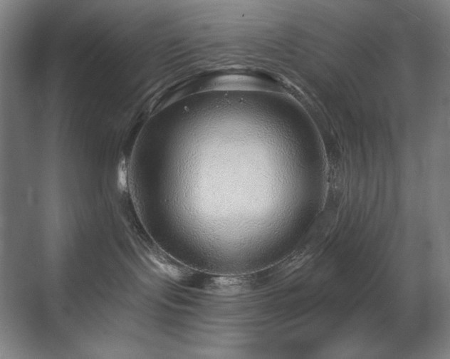 X0000070220095200605261329
