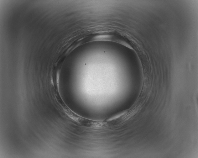 X0000070220096200605261329