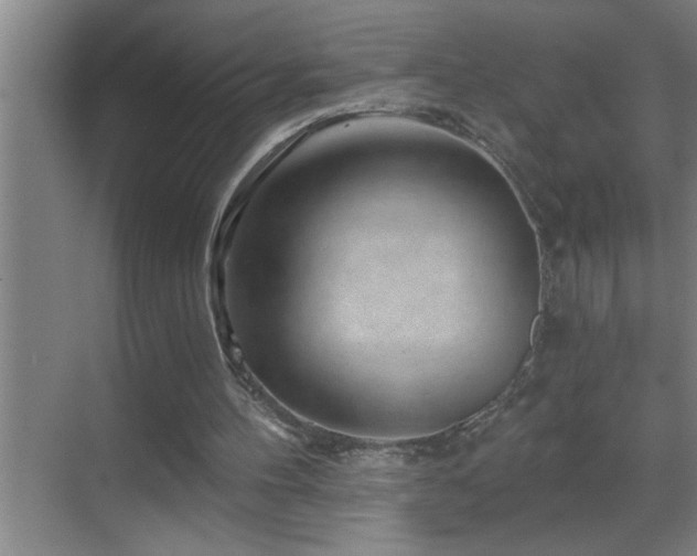 X0000070220100200605261328