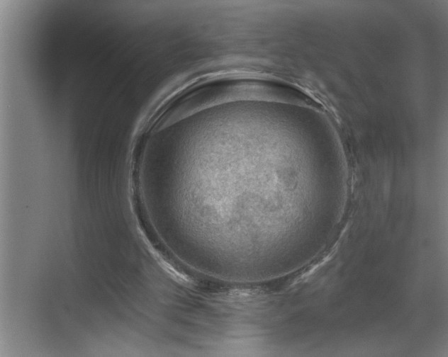 X0000070220101200605261328