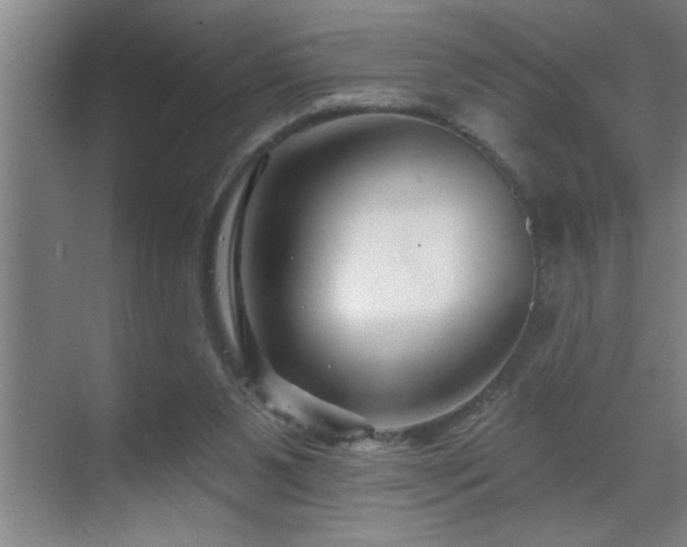 X0000070220111200605261328