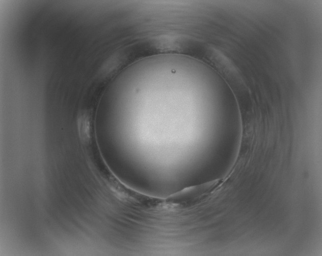X0000070220124200605261328