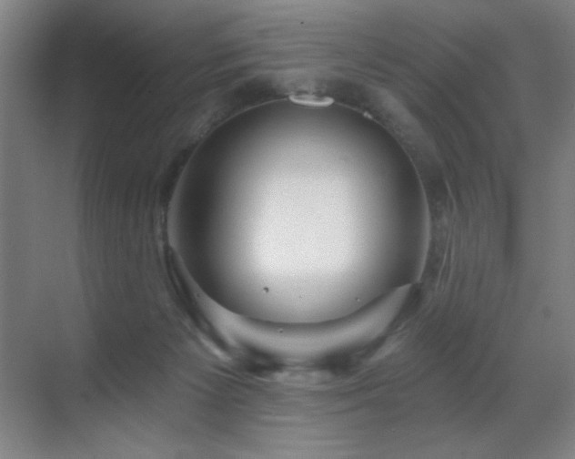 X0000070220125200605261328