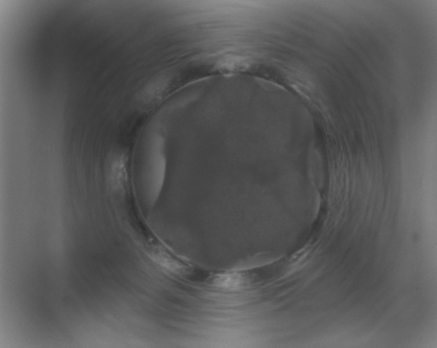 X0000070220127200605261328