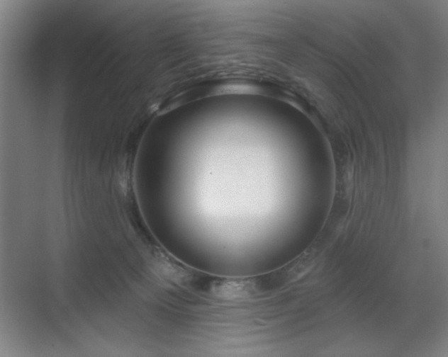 X0000070220129200605261328