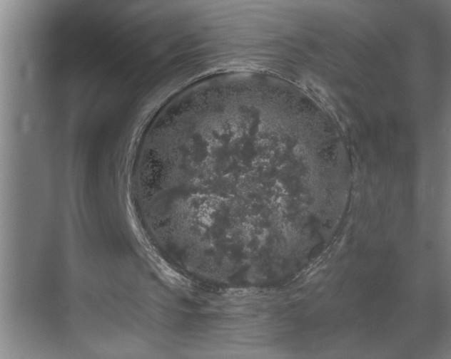 X0000070220145200605261327