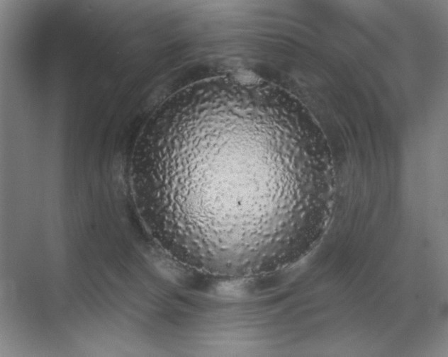 X0000070220178200605261327