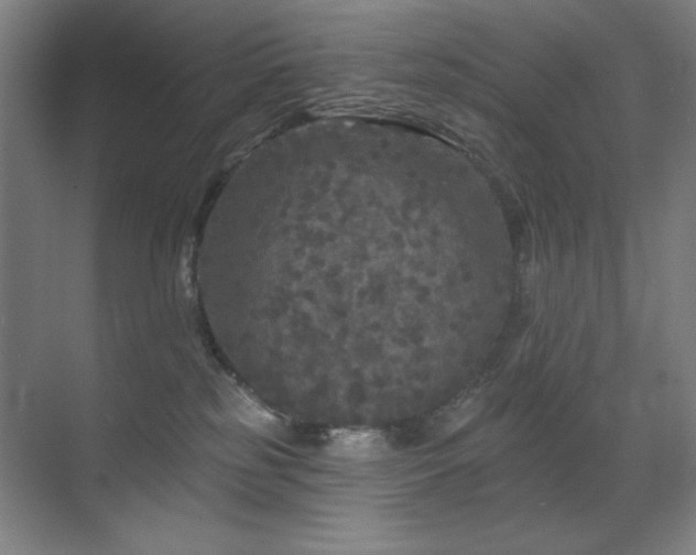 X0000070220185200605261327
