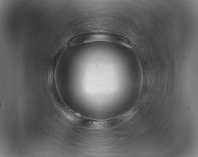 X0000070220188200605261327