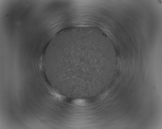 X0000070220189200605261327