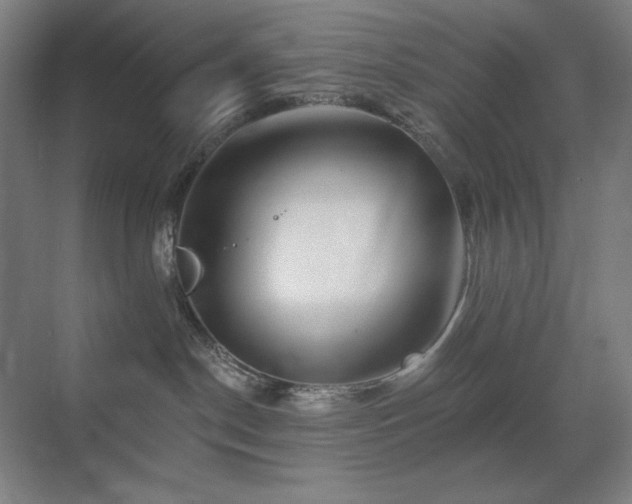 X0000070220190200605261327