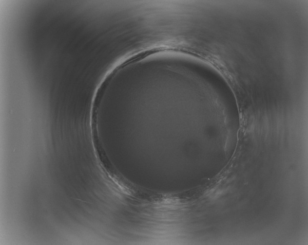 X0000070220196200605261327