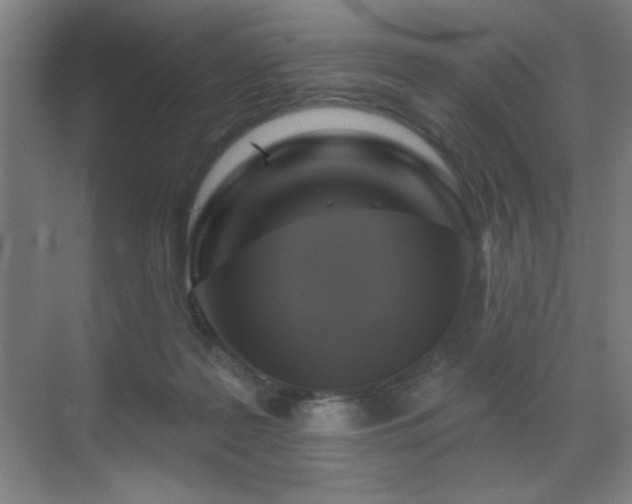 X0000070220219200605261326