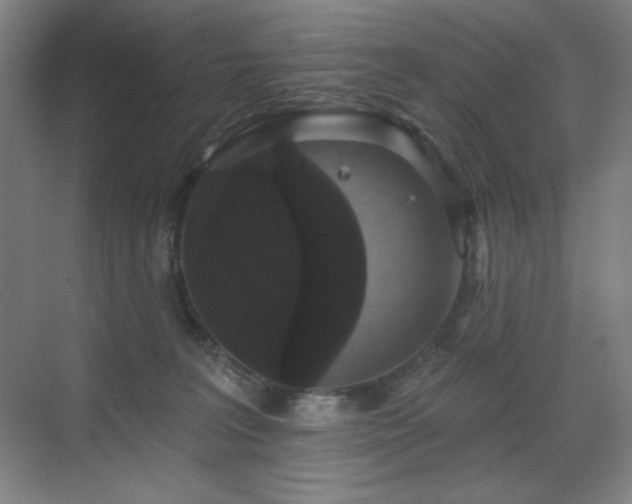 X0000070220227200605261326