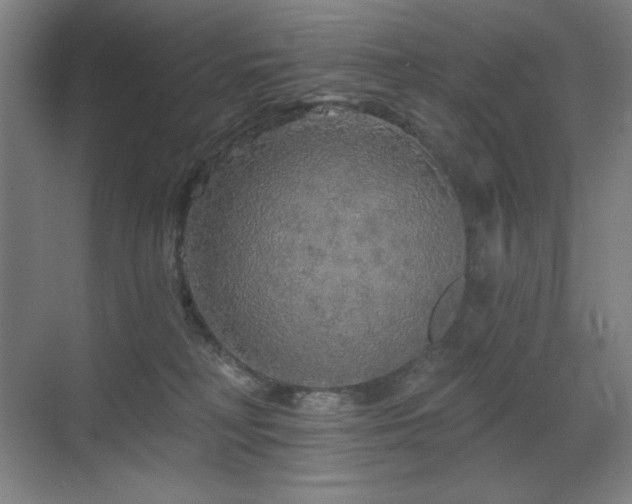 X0000070220230200605261326