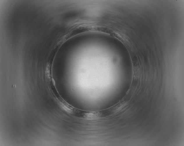 X0000070220238200605261326