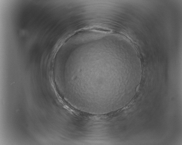 X0000070220241200605261325
