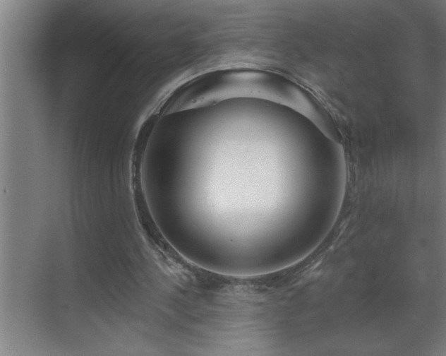 X0000070220244200605261325