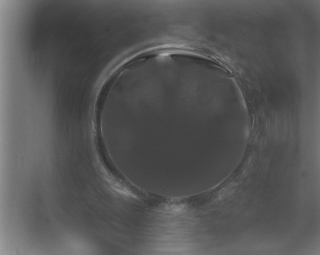 X0000070220247200605261325