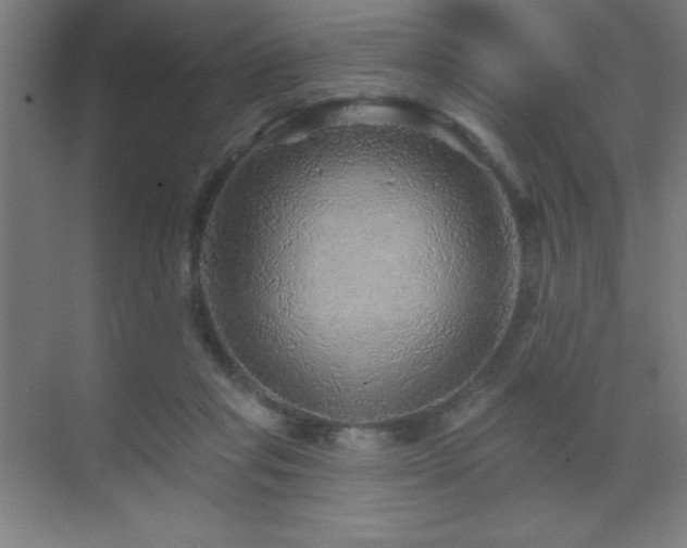X0000070220261200605261325