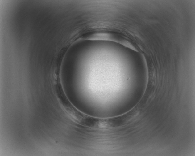 X0000070220264200605261325