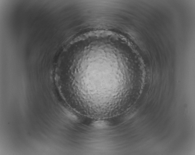 X0000070220269200605261326