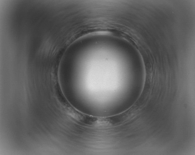 X0000070220270200605261326