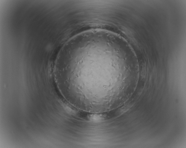 X0000070220273200605261326